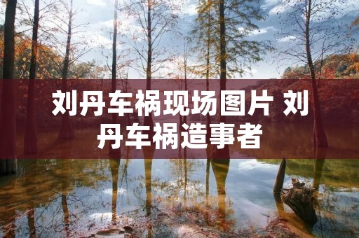 刘丹车祸现场图片 刘丹车祸造事者