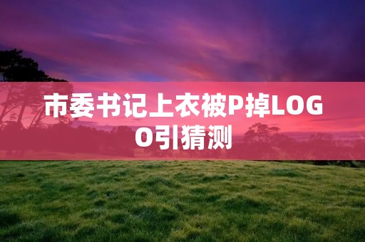 市委书记上衣被P掉LOGO引猜测