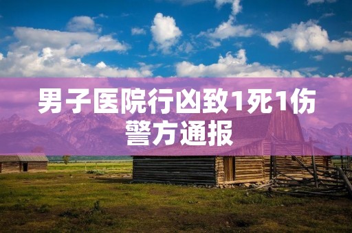 男子医院行凶致1死1伤 警方通报