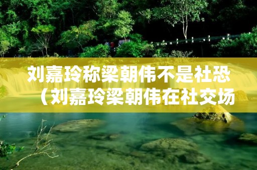 刘嘉玲称梁朝伟不是社恐(刘嘉玲梁朝伟在社交场合的区别)