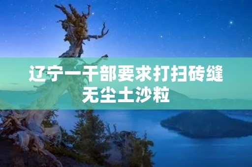辽宁一干部要求打扫砖缝无尘土沙粒