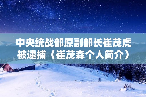 中央统战部原副部长崔茂虎被逮捕(崔茂森个人简介) 中央统战部原副部长崔茂虎被逮捕(崔茂森个人简介)