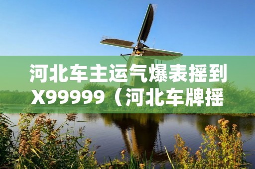 河北车主运气爆表摇到X99999(河北车牌摇号申请网站)