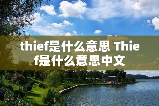 thief是什么意思 Thief是什么意思中文 thief是什么意思 Thief是什么意思中文