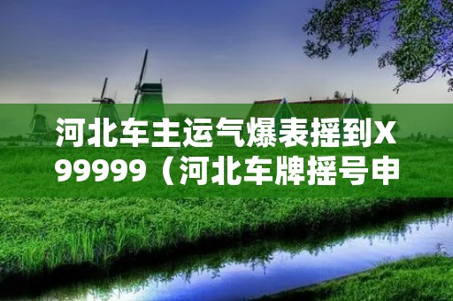 河北车主运气爆表摇到X99999（河北车牌摇号申请网站）