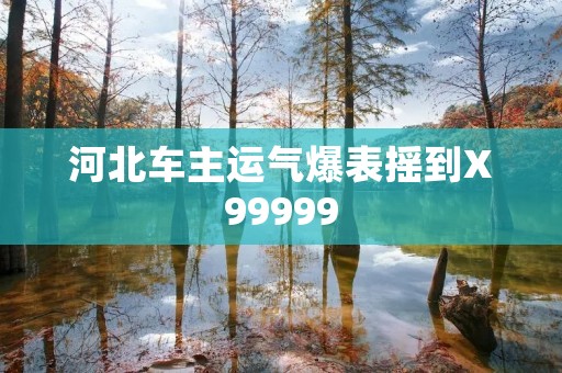 河北车主运气爆表摇到X99999