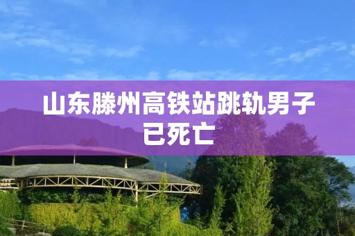 山东滕州高铁站跳轨男子已死亡