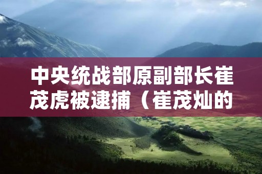 中央统战部原副部长崔茂虎被逮捕（崔茂灿的简介）
