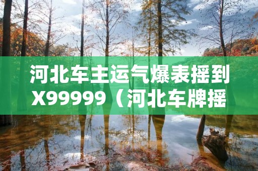 河北车主运气爆表摇到X99999（河北车牌摇号申请网站）