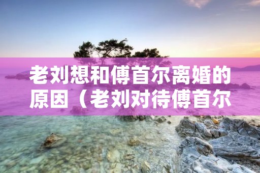 老刘想和傅首尔离婚的原因（老刘对待傅首尔）
