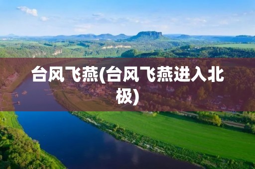 台风飞燕(台风飞燕进入北极) 台风飞燕(台风飞燕进入北极)