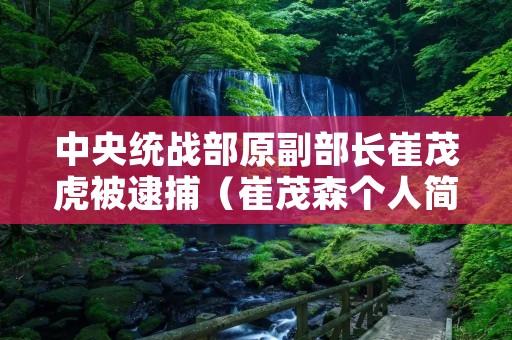 中央统战部原副部长崔茂虎被逮捕（崔茂森个人简介）