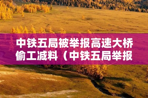 中铁五局被举报高速大桥偷工减料(中铁五局举报电话查询 大全中)