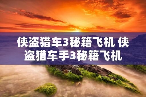 侠盗猎车3秘籍飞机 侠盗猎车手3秘籍飞机