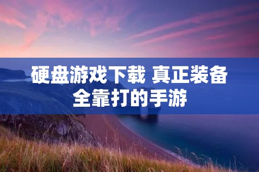 硬盘游戏下载 真正装备全靠打的手游
