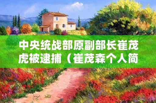 中央统战部原副部长崔茂虎被逮捕(崔茂森个人简介)