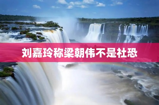 刘嘉玲称梁朝伟不是社恐