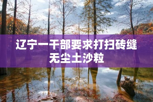 辽宁一干部要求打扫砖缝无尘土沙粒