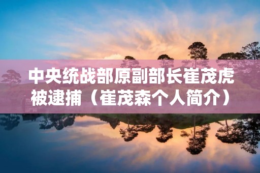 中央统战部原副部长崔茂虎被逮捕（崔茂森个人简介）