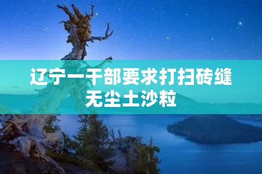 辽宁一干部要求打扫砖缝无尘土沙粒