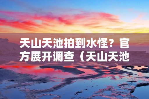 天山天池拍到水怪？官方展开调查（天山天池拍到水怪?官方展开调查）