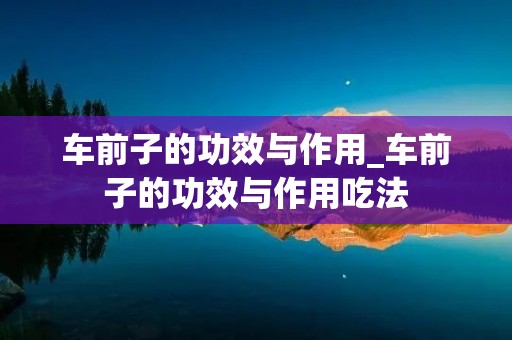 车前子的功效与作用_车前子的功效与作用吃法