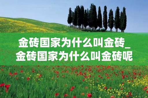金砖国家为什么叫金砖_金砖国家为什么叫金砖呢