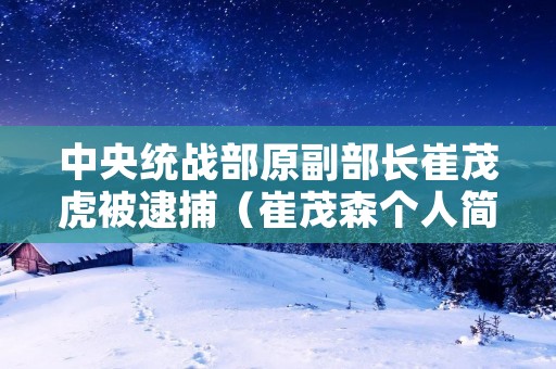 中央统战部原副部长崔茂虎被逮捕（崔茂森个人简介）