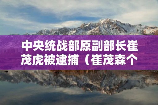 中央统战部原副部长崔茂虎被逮捕(崔茂森个人简介)