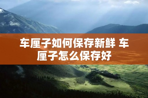 车厘子如何保存新鲜 车厘子怎么保存好