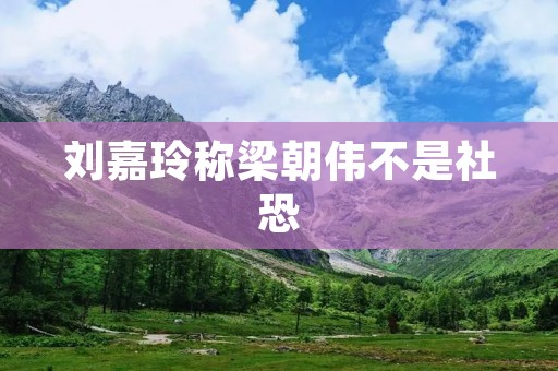 刘嘉玲称梁朝伟不是社恐