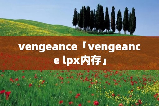 vengeance「vengeance lpx内存」 vengeance「vengeance lpx内存」