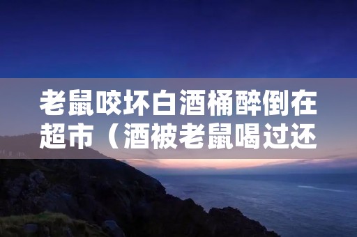 老鼠咬坏白酒桶醉倒在超市(酒被老鼠喝过还能喝吗)