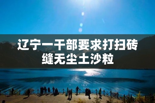 辽宁一干部要求打扫砖缝无尘土沙粒