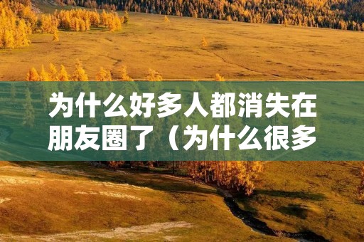 为什么好多人都消失在朋友圈了(为什么很多人消失在朋友圈)
