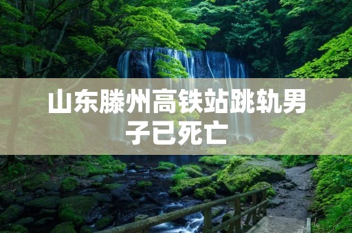 山东滕州高铁站跳轨男子已死亡
