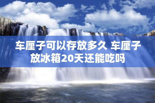 车厘子可以存放多久 车厘子放冰箱20天还能吃吗