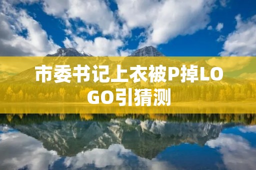 市委书记上衣被P掉LOGO引猜测