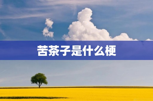 苦茶子是什么梗 苦茶子是什么梗
