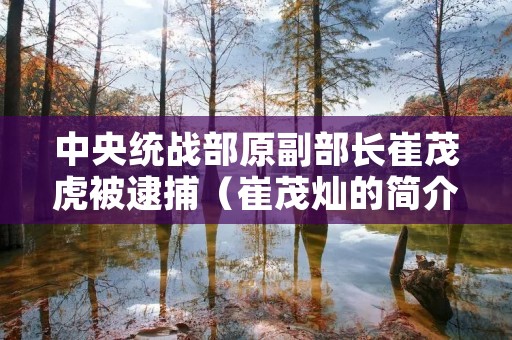 中央统战部原副部长崔茂虎被逮捕(崔茂灿的简介)