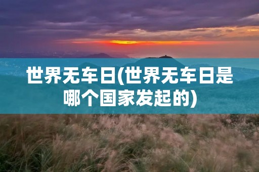 世界无车日(世界无车日是哪个国家发起的)