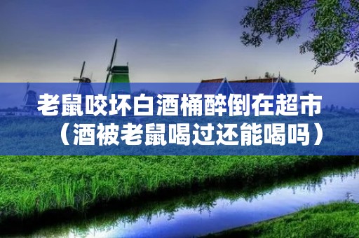 老鼠咬坏白酒桶醉倒在超市(酒被老鼠喝过还能喝吗)
