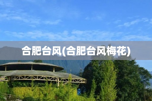 合肥台风(合肥台风梅花) 合肥台风(合肥台风梅花)