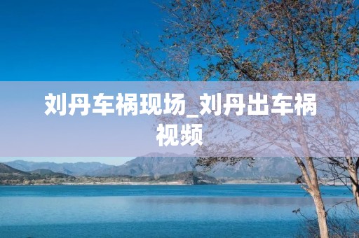 刘丹车祸现场_刘丹出车祸视频