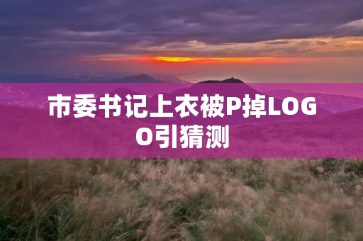 市委书记上衣被P掉LOGO引猜测