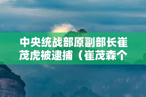 中央统战部原副部长崔茂虎被逮捕(崔茂森个人简介)