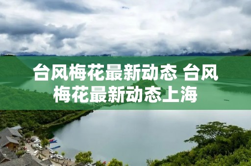 台风梅花最新动态 台风梅花最新动态上海