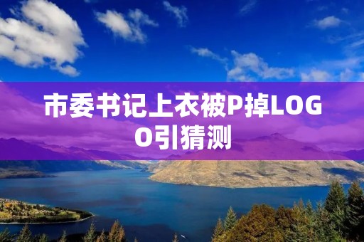 市委书记上衣被P掉LOGO引猜测