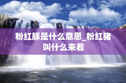 粉红豚是什么意思_粉红猪叫什么来着