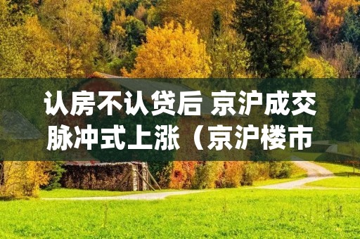 认房不认贷后 京沪成交脉冲式上涨(京沪楼市何时见顶(下))